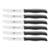 Zwilling Frühstücksmesserset 6-tlg -Zwilling 38725 900