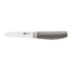 Zwilling Gemüsemesser 9 Cm, Grau 2 Zwilling Gemüsemesser 9 Cm, Grau -Zwilling 53080090